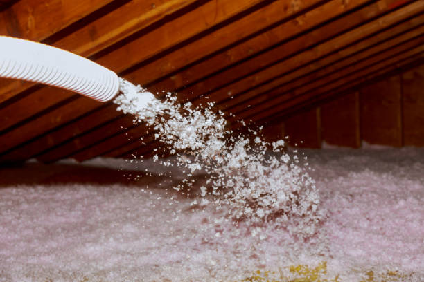 Best Spray Foam Insulation in Magna, UT